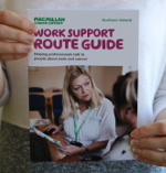 Work Support Route Guide (NI)
